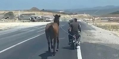 Bursa’da atı motosiklete bağlayarak götürdü