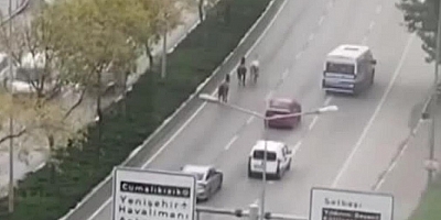 Bursa'da başıboş atlar trafiği birbirine kattı