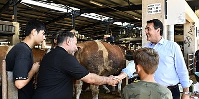 Bursa'da Başkan Dündar’dan kurbanlık pazarlığı