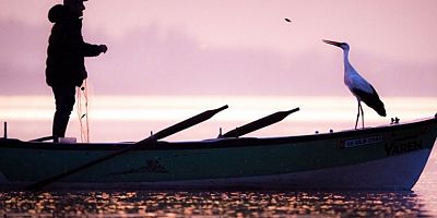 Bursa'da beklenen kavuşma gerçekleşti: Yaren Leylek yine geldi!