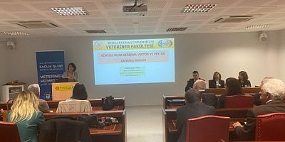 Bursa'da bu hastalıklarda artış var! Nedeni belli oldu...