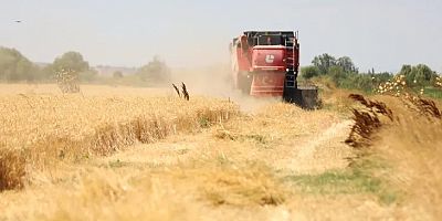 Bursa'da Büyükşehir desteği ile hasat zamanı