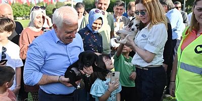 Bursa'da can dostlar yeni yuvalarına kavuştu