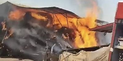 Bursa'da çiftlikte bulunan yem dolu depo alev alev yandı