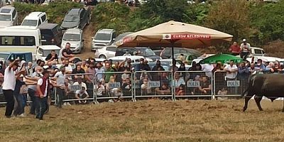 Bursa'da düzenlenen boğa güreşleri İspanya arenalarını aratmadı