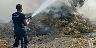 Bursa'da hayvan çiftliğinde yangın!