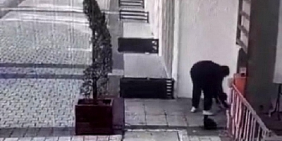 Bursa'da insanlık ölmüş dedirten görüntü: Kedi mamasının kutusunu çaldı