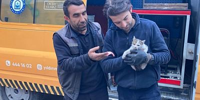 Bursa'da kaputa sıkışan kedi kurtarıldı!