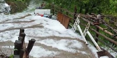 Bursa'da kestane ağaçlarını dolu vurdu