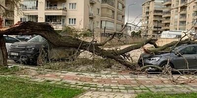 Bursa'da Lodos engeli! Son yılların en güçlüsü...