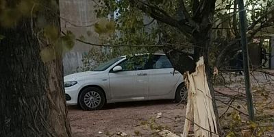 Bursa'da lodos hayatı felç etti! Ağaçlar otomobillerin üzerine düştü