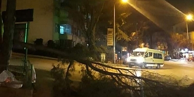 Bursa'da lodos hayatı felç etti: Binanın duvarı yıkıldı, ağaçlar yolları kapattı