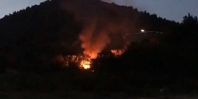 Bursa'da madde bağımlıları baraka ve ormanı yaktı!