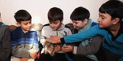 Bursa'da öğrenciler bu kütüphanede hem kitap okuyor hem de kedileri seviyor