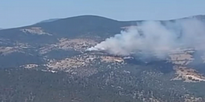 Bursa'da orman yangını!