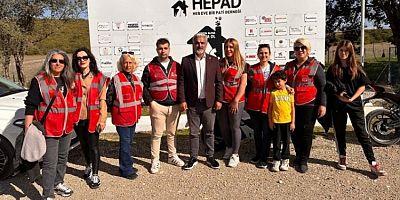 Bursa'da sokak hayvanları için yaşam alanları oluşturuldu