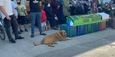 Bursa'da tabutun başından bir an olsun ayrılmadı
