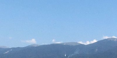 Bursa'da Uludağ eteklerinde korkutan yangın