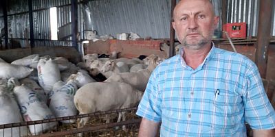 Bursa'da üretici dertli! Fiyatlar arttırılmazsa eylem yapacaklar