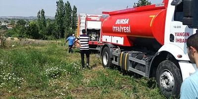 Bursa'da yangın hayvanları telef etti
