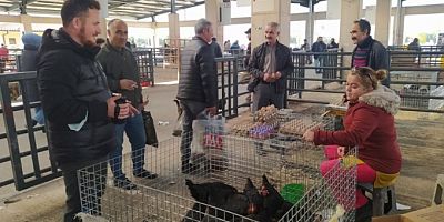 Bursa'da yüzde 50 daha ucuz! Satışları patladı