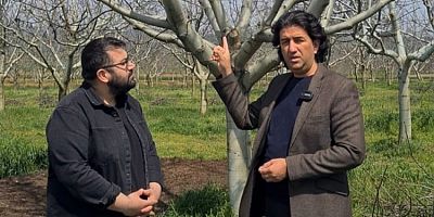 Bursa'daki zirai don sonrası Anahtar Parti'den çağrı!