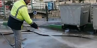 Bursa Gemlik'te çöp konteyneri etrafına bir karton dolusu bozuk balık döktüler!