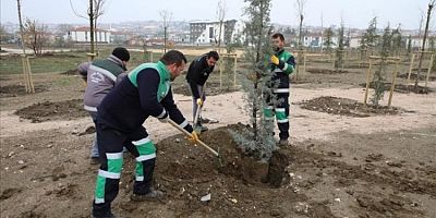 Bursa İnegöl'de 167 fidan toprakla buluştu