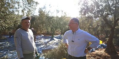 Bursa Mudanya Belediyesi zeytin üreticisinin yanında