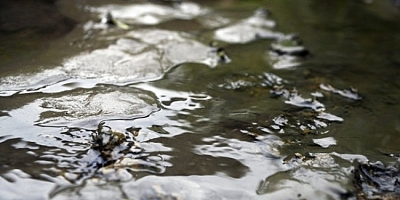 Bursa Nilüfer Çayı siyaha boyandı!