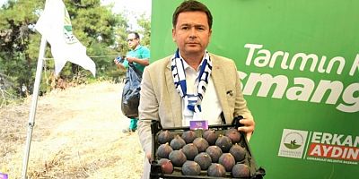 Bursa'nın dünyaca ünlü siyah incirleri Osmangazi'de yarıştı!