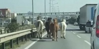 Bursa'nın en işlek caddesi! Cirit atıyorlar