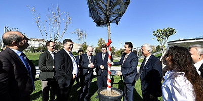 Bursa’nın Erguvanları Almanya’da kök salacak
