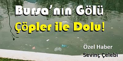 Bursa’nın Gölü Çöpler ile Dolu  (Özel Haber)