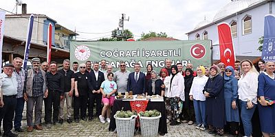 Bursa'nın tescilli lezzetinde hasat zamanı