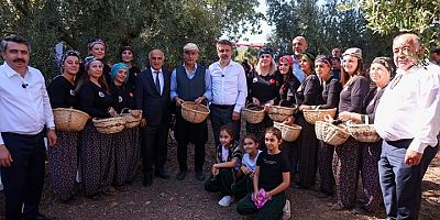 Bursa'nın zeytin mirası Gemlik ve Orhangazi'de yaşatılıyor