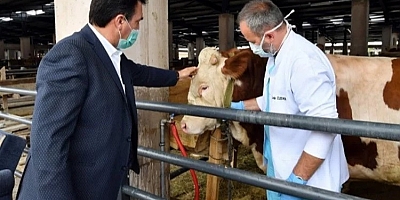 Bursa Osmangazi’de kurban kesim yerleri belli oldu