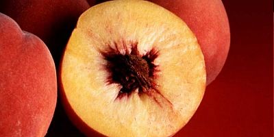 Bursa şeftalisi coğrafi işaret tescili aldı