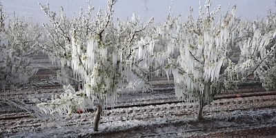 Bursa Valiliği'nden son dakika uyarısı!