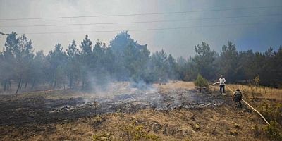 Bursa Valiliği'nden yangın açıklaması