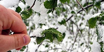 Bursa Valiliğinden buzlanma ve zirai don uyarısı