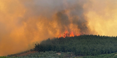 Bursa Valiliğinden, Gündoğdu'daki yangın ile alakalı açıklama geldi...