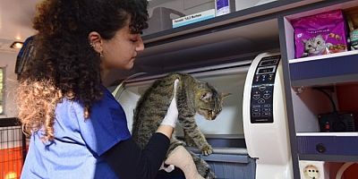 Bursa Yıldırım Belediyesi 'Haybulans'ı kullanıma aldı!