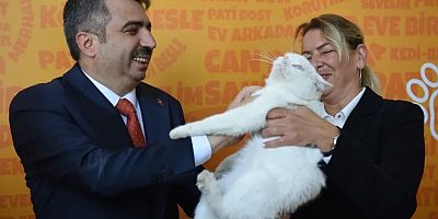 Bursa Yıldırım'da can dostlar emin ellerde