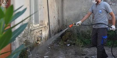 Bursa Yıldırım'da ilaçlama çalışmaları devam ediyor