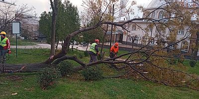 Bursa Yıldırım'da lodosla etkin mücadele