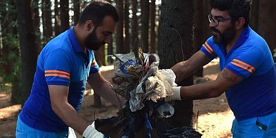 Bursa Yıldırım'da orman temizliği
