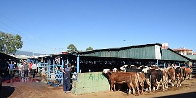 Bursa Yıldırım Kurban Bayramı'na hazır!