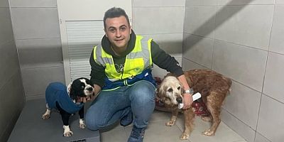 Büyükşehir, bayram tatilinde de can dostların yanında 