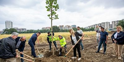 Büyükşehir, ‘Daha yeşil Bursa’ için çalışıyor